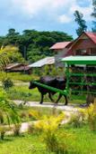 Туры в отель Zerof Self Catering Apartments Туры в отель Zerof Self Catering Apartments