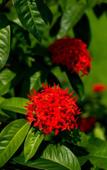 Туры в отель Zerof Self Catering Apartments Туры в отель Zerof Self Catering Apartments