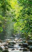 Туры в отель The Sixnature Resort Bangsaen Туры в отель The Sixnature Resort Bangsaen