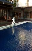 Туры в отель Hotel Puri Mimi Туры в отель Hotel Puri Mimi