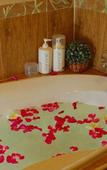 Туры в отель La Playa Boutique Resort Туры в отель La Playa Boutique Resort