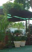 Туры в отель Coconut Home Resort Туры в отель Coconut Home Resort