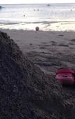 Туры в отель Kuta Beach Stay Туры в отель Kuta Beach Stay
