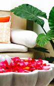 Туры в отель Riad Tawargit Туры в отель Riad Tawargit