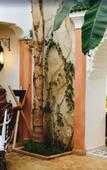 Туры в отель Riad Tawargit Туры в отель Riad Tawargit