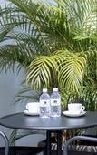 Туры в отель Harbour Ville Hotel Hamilton - Lavender Туры в отель Harbour Ville Hotel Hamilton - Lavender