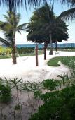 Туры в отель Отель Akumal Bay Beach and Wellness Resort Туры в отель Отель Akumal Bay Beach and Wellness Resort