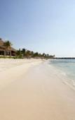Туры в отель Отель Akumal Bay Beach and Wellness Resort Туры в отель Отель Akumal Bay Beach and Wellness Resort