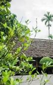 Туры в отель Hoa Binh 2 Туры в отель Hoa Binh 2