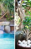 Туры в отель Sunrise Gili Air Туры в отель Sunrise Gili Air