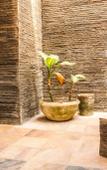 Туры в отель Sunrise Gili Air Туры в отель Sunrise Gili Air