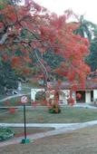 Туры в отель Horizontes Rancho San Vicente Туры в отель Horizontes Rancho San Vicente
