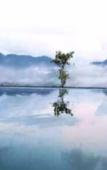 Туры в отель Rainforest Edge Туры в отель Rainforest Edge