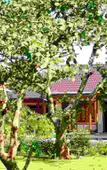 Туры в отель Thuy Van Bungalow Туры в отель Thuy Van Bungalow