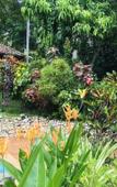 Туры в отель Whispering House Туры в отель Whispering House