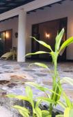 Туры в отель Whispering House Туры в отель Whispering House