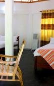 Туры в отель Lavish Eco Jungle Туры в отель Lavish Eco Jungle
