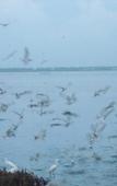 Туры в отель Nilakma Lagoon Туры в отель Nilakma Lagoon