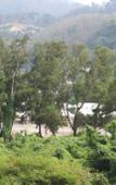 Туры в отель Star Hostel Patong Туры в отель Star Hostel Patong