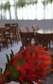 Туры в отель Retreat Resort Pattaya Туры в отель Retreat Resort Pattaya