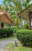 Туры в отель Lanta School Beach Resort Туры в отель Lanta School Beach Resort
