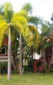 Туры в отель Lanta School Beach Resort Туры в отель Lanta School Beach Resort