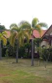 Туры в отель Lanta School Beach Resort Туры в отель Lanta School Beach Resort