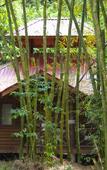 Туры в отель Platon Ecolodge Туры в отель Platon Ecolodge