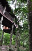 Туры в отель Platon Ecolodge Туры в отель Platon Ecolodge