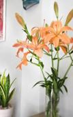 Туры в отель Cozy House 160 Туры в отель Cozy House 160