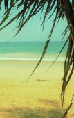 Туры в отель Serendib Beach Hotel Туры в отель Serendib Beach Hotel