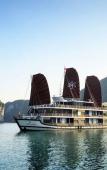 Туры в отель Orchid Classic Cruise Туры в отель Orchid Classic Cruise
