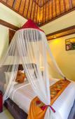 Туры в отель The Bali Dream Villa Canggu Туры в отель The Bali Dream Villa Canggu