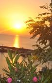 Туры в отель Damla Panaroma Hotel Туры в отель Damla Panaroma Hotel