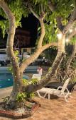 Туры в отель The Great Rayong Hotel Туры в отель The Great Rayong Hotel