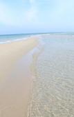 Туры в отель The Camp Resort Туры в отель The Camp Resort