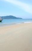 Туры в отель The Camp Resort Туры в отель The Camp Resort