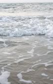 Туры в отель The Camp Resort Туры в отель The Camp Resort