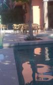 Туры в отель Hotel Le Grand Imilchil Туры в отель Hotel Le Grand Imilchil