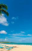 Туры в отель Emotions by Hodelpa Puerto Plata - All Inclusive Туры в отель Emotions by Hodelpa Puerto Plata - All Inclusive