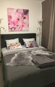 Туры в отель Шале Arctic Resort Delight Туры в отель Шале Arctic Resort Delight