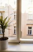 Туры в отель Apartment by the Old Town Square Туры в отель Apartment by the Old Town Square