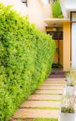Туры в отель Pawanthorn Luxury Pool Villa Samui Туры в отель Pawanthorn Luxury Pool Villa Samui