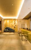Туры в отель Hotel Musse Ginza Meitetsu Туры в отель Hotel Musse Ginza Meitetsu