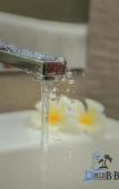 Туры в отель D Plus B&B Negombo Туры в отель D Plus B&B Negombo