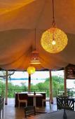 Туры в отель Flameback Eco Lodge Туры в отель Flameback Eco Lodge