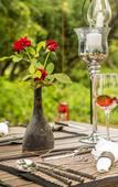 Туры в отель Flameback Eco Lodge Туры в отель Flameback Eco Lodge