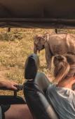 Туры в отель Flameback Eco Lodge Туры в отель Flameback Eco Lodge