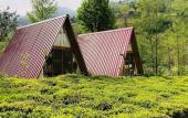 Туры в отель Tabiat Bungalows Туры в отель Tabiat Bungalows