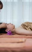 Туры в отель The Noble Swan Hotel & Spa Туры в отель The Noble Swan Hotel & Spa